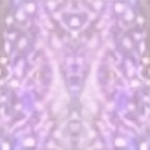 Gelinis lakas AURORA ROSE